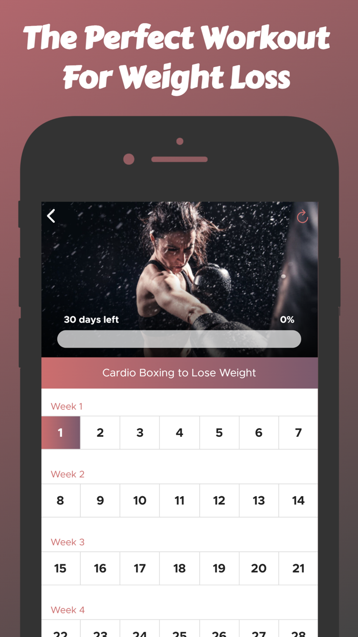 30 Day Boxing Challenge