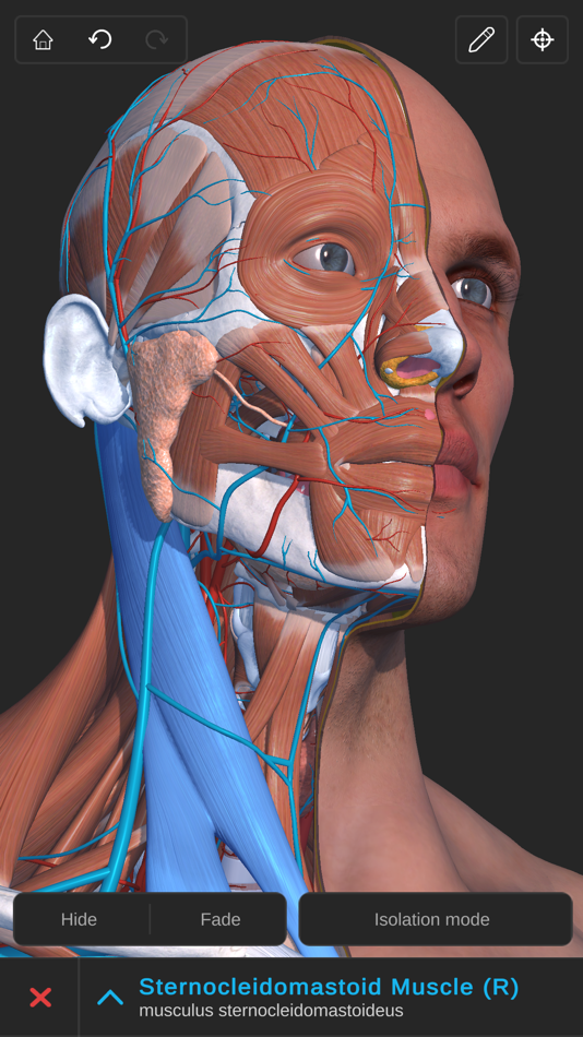 Visual Anatomy 3D - Human - 2.5 - (macOS)