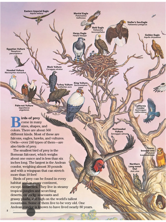 Ranger Rick Zoobooks