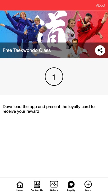 Elite Taekwondo Martial Arts