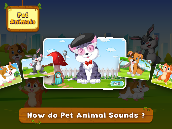 Animal Sound for learning