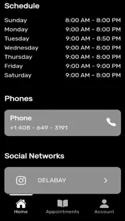 delabay iphone screenshot 4
