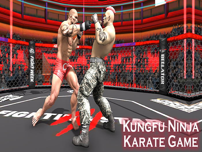 kung Fu Karate Fighting Arena