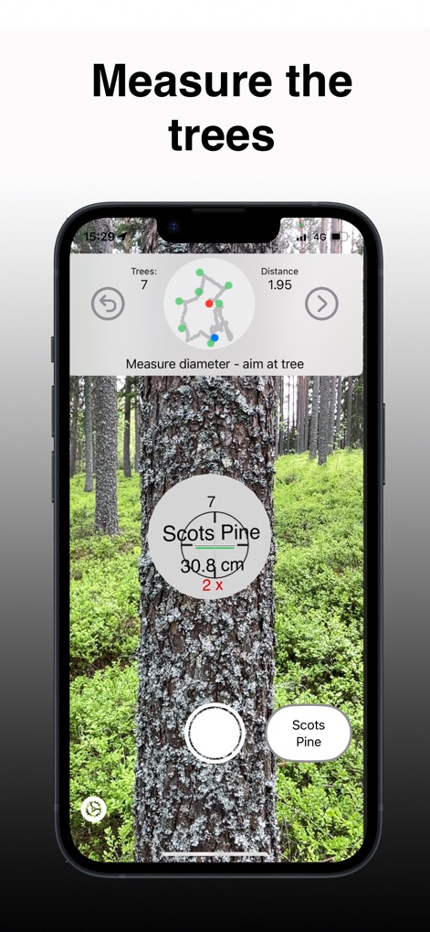 Arboreal Forest - Business App | MWM