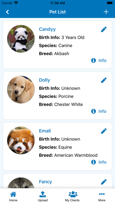 VetNOW Screenshot