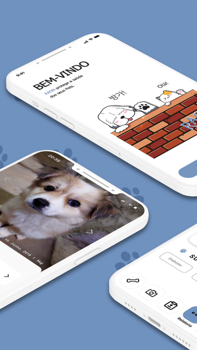 Rapivet-Teste de urina pra Pet Screenshot