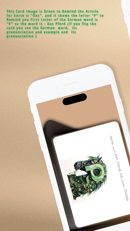 Flashcards INGOAMPT screenshot-5