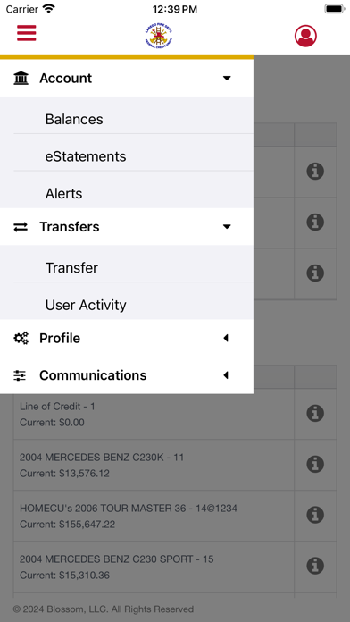 LFDFCU Mobile Banking Screenshot