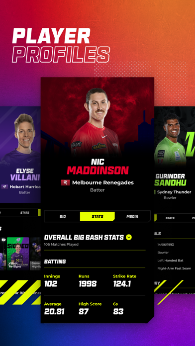 Big Bash Screenshot