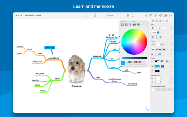 ‎SimpleMind − Capture d'écran de la cartographie mentale