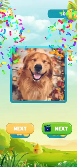 Game screenshot Pieces Picture - Jigsaw Puzzle apk