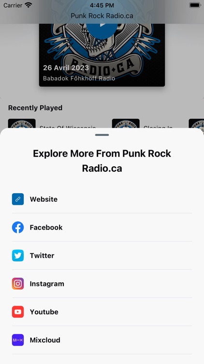 Punk Radio screenshot-3
