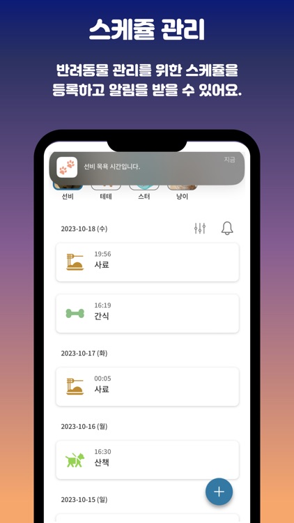 젤리야 뭐해 screenshot-4