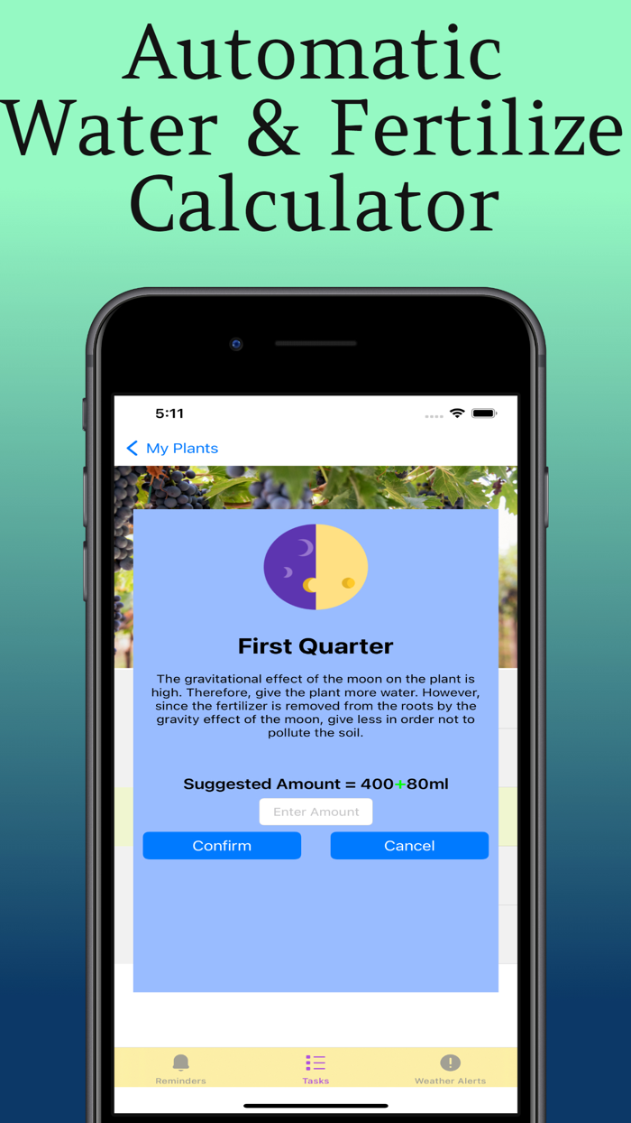 Plant Care Guide and Tips
