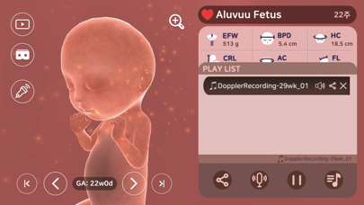 Aluvuu Fetus Screenshot