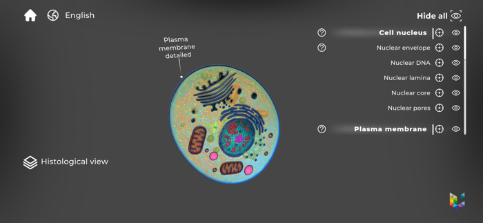 Morflab  Cell and Earthworm