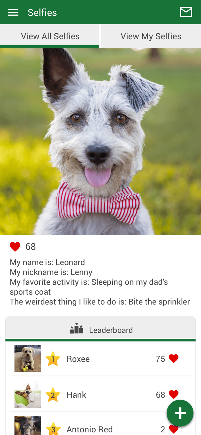 Satilla Animal Hospital