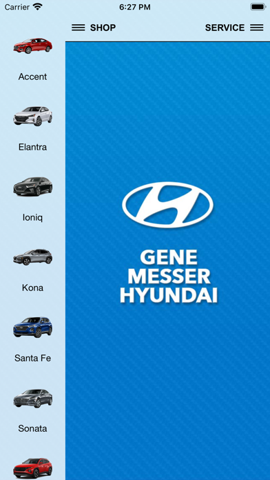 Gene Messer Hyundai Screenshot