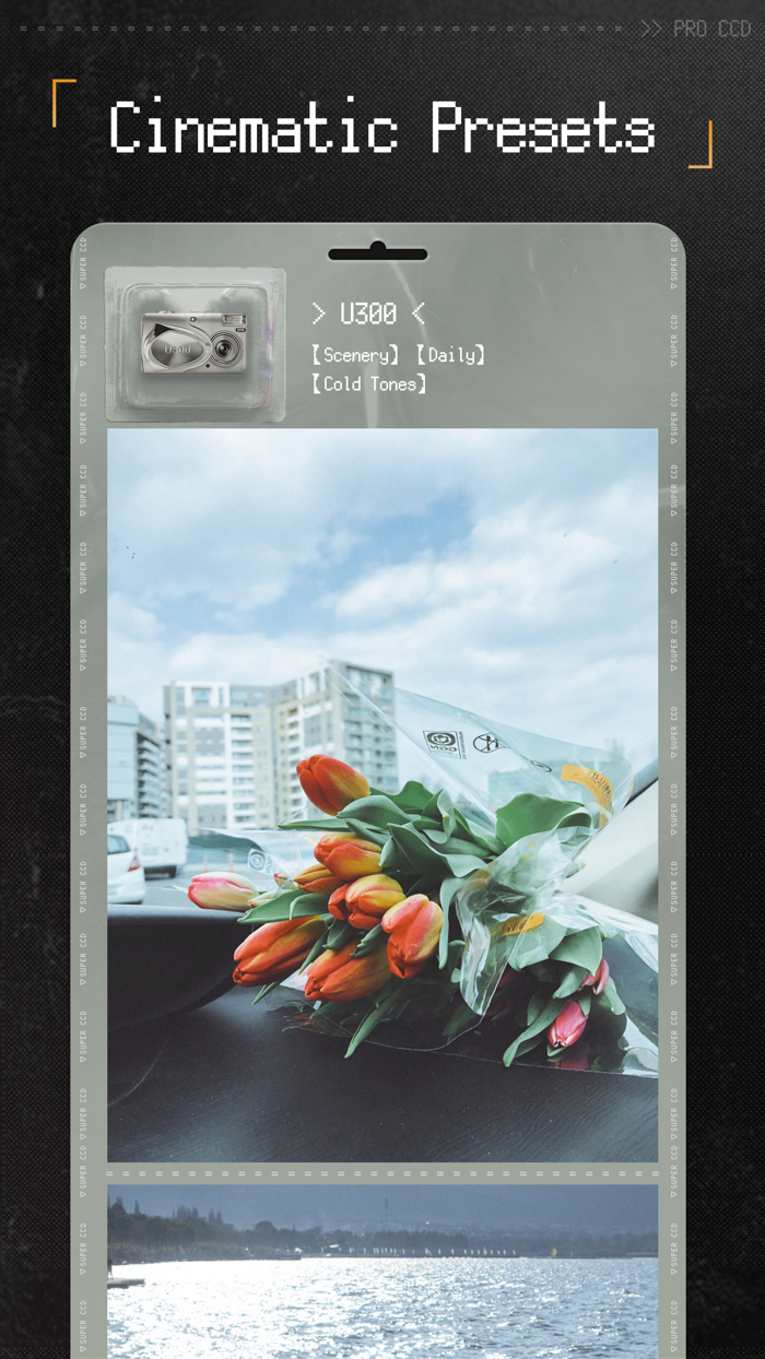 ProCCD - Retro Digital Camera