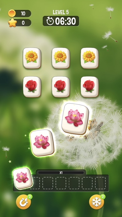 Zen Blossom Screenshot