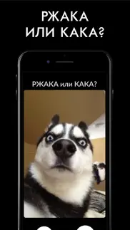 РЖАКА iphone screenshot 1