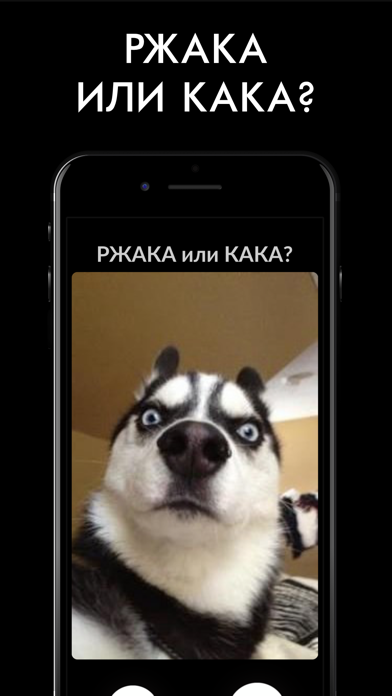 Screenshot #1 pour РЖАКА