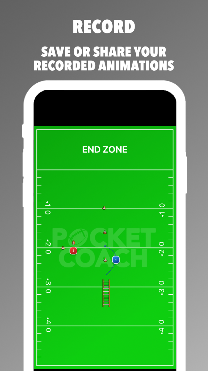 Pocket Coach Football Board