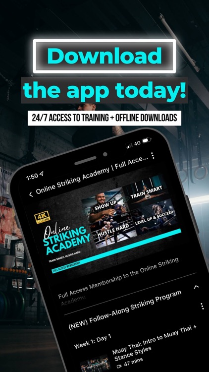 Online Striking Academy