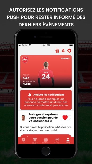 Valenciennes FC Screenshot