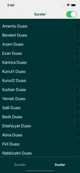 Game screenshot Sureler Dualar apk