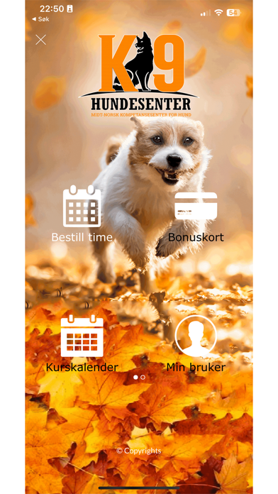 K9 HUNDESENTER Screenshot