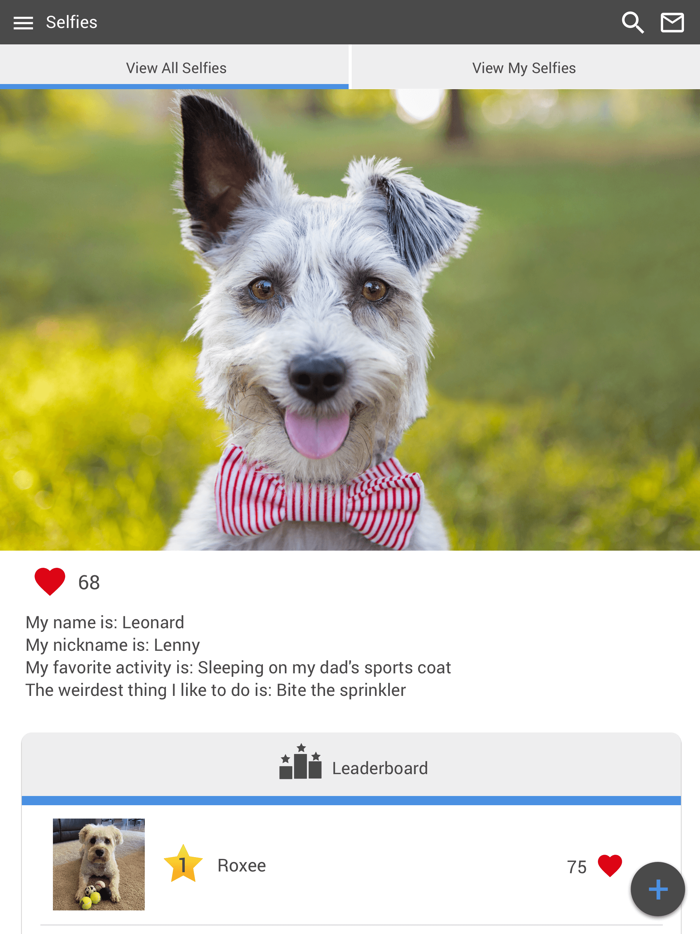 Crossroads Vet Hospital