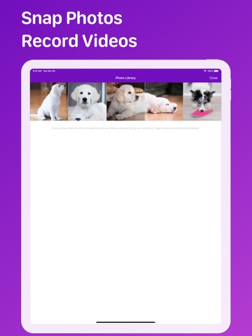 Pet Monitor VIGIのおすすめ画像9