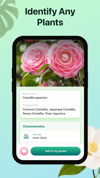 Bloomio－Plant Identifier&Care