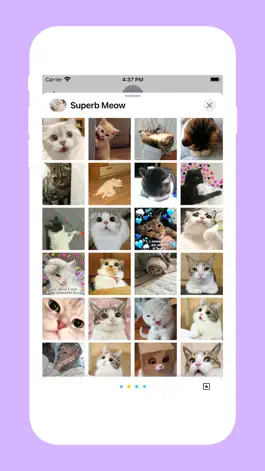 Game screenshot Superb Meow apk