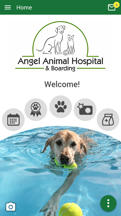 Angel Animal Vet Screenshot