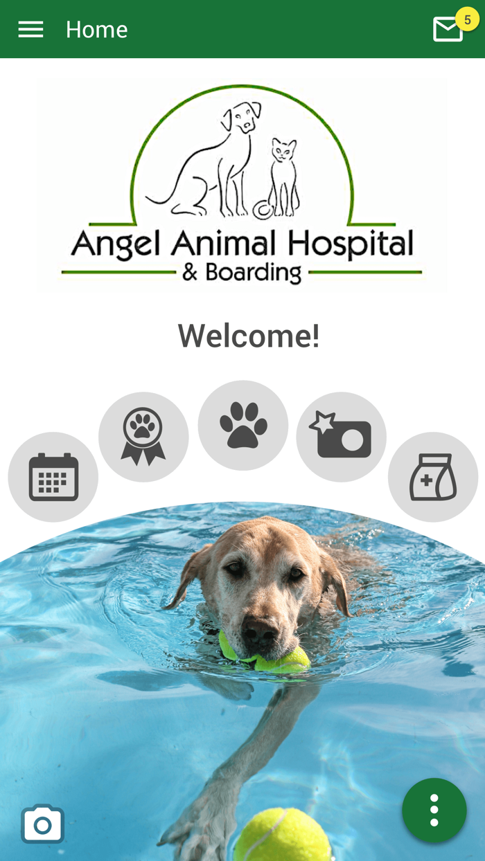 Angel Animal Vet