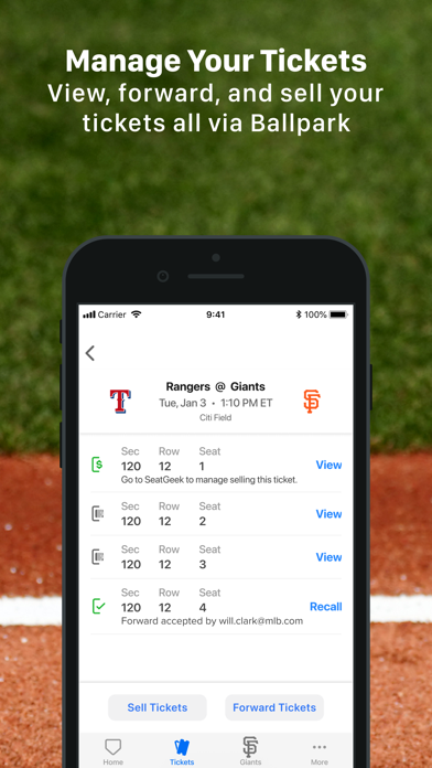 MLB Ballpark screenshot1