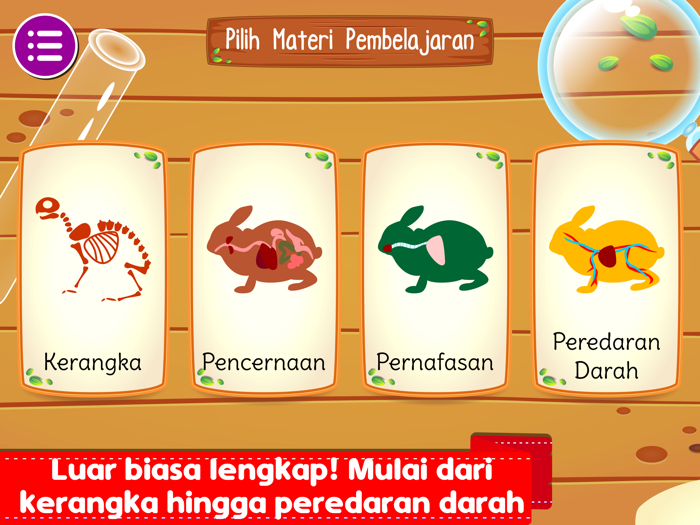 Marbel Sains  Anatomi Hewan