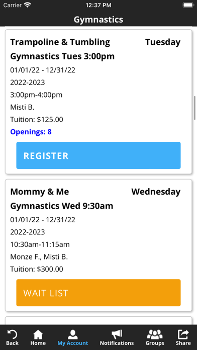 Momentum Acrobatics Screenshot