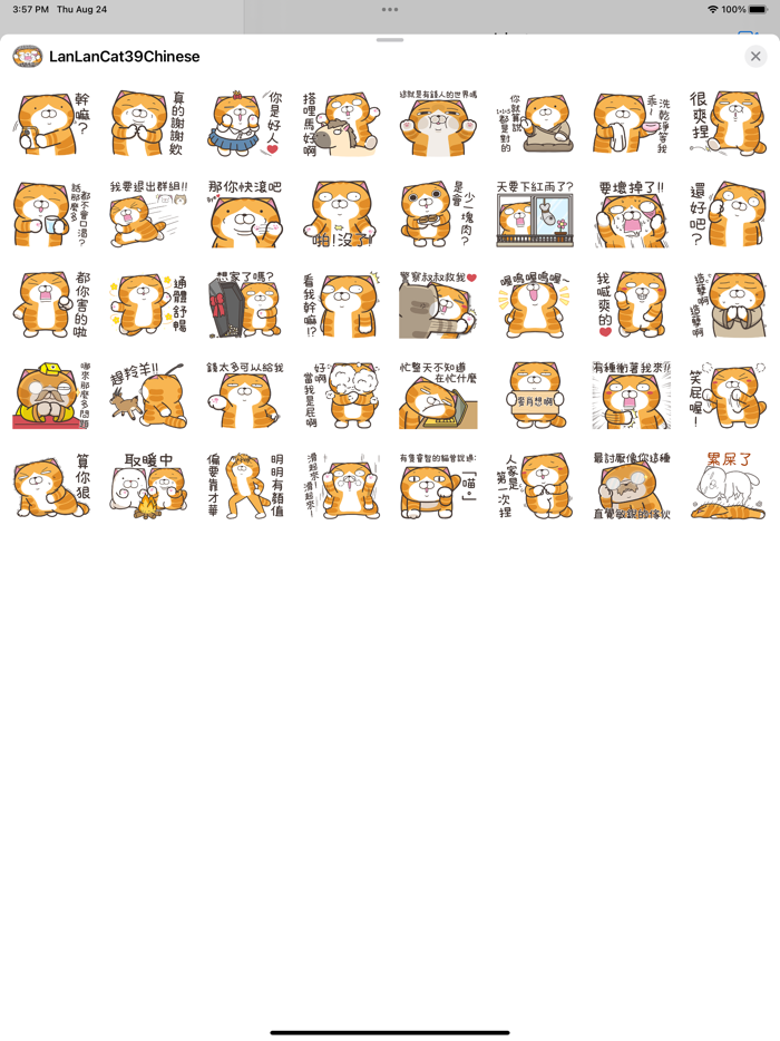 白爛貓39 超胡鬧