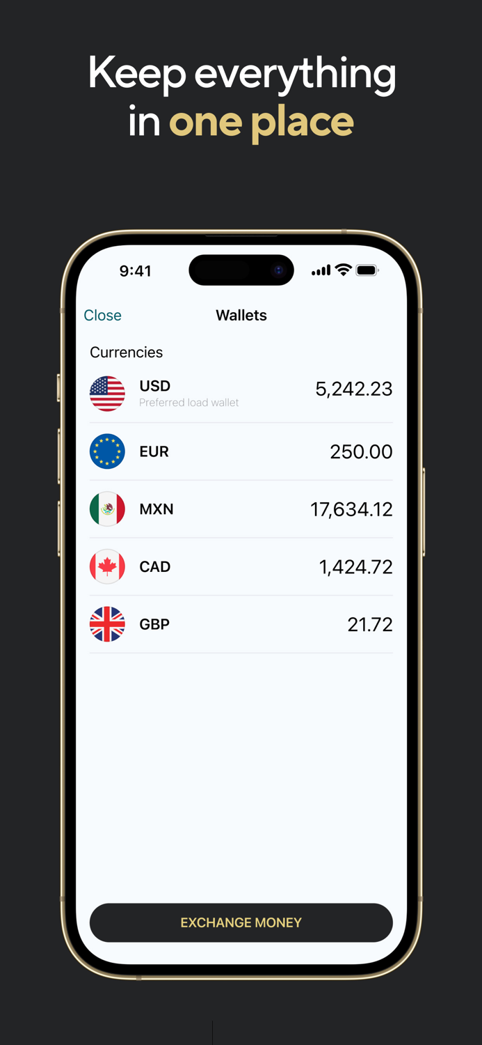 X World Wallet Visa Card