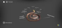 Game screenshot Morflab : Cell & Earthworm mod apk