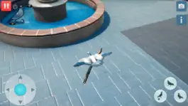 Game screenshot Hungry Pigeon Simulator Game hack