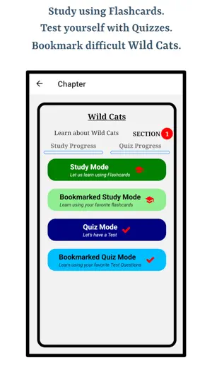 Learn Wild Cats screenshot 2