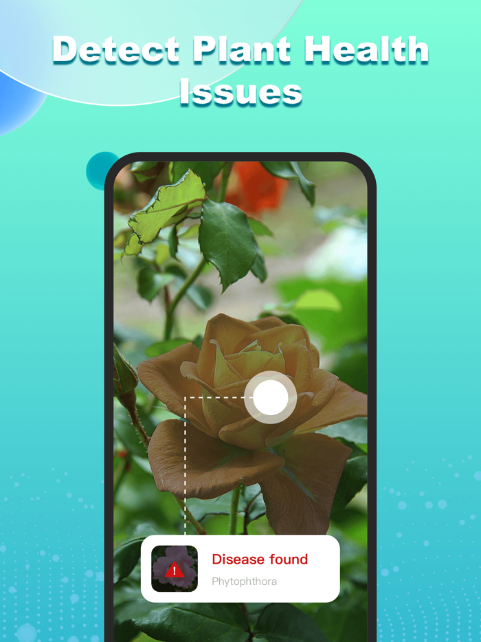 ChatPlant - Plant Identifier
