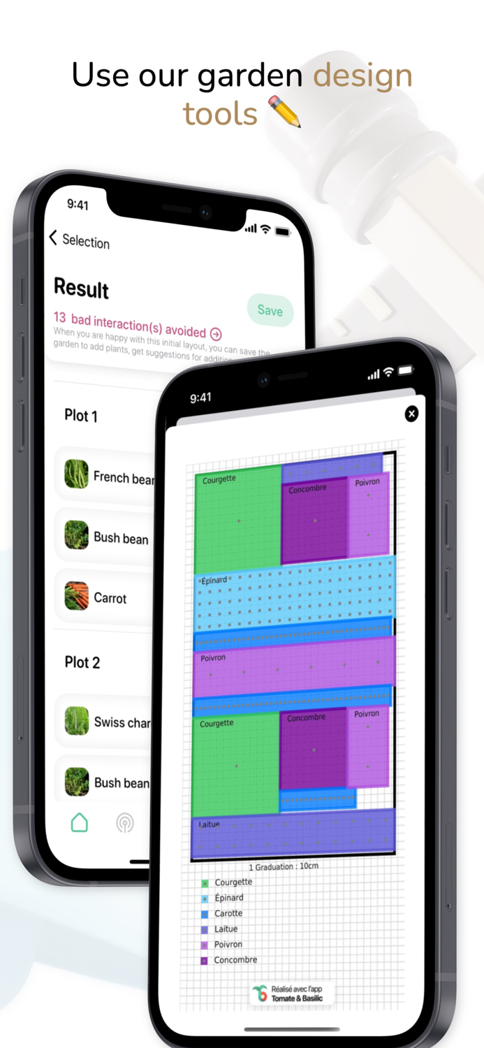 Tomate and Basilic- Permaculture