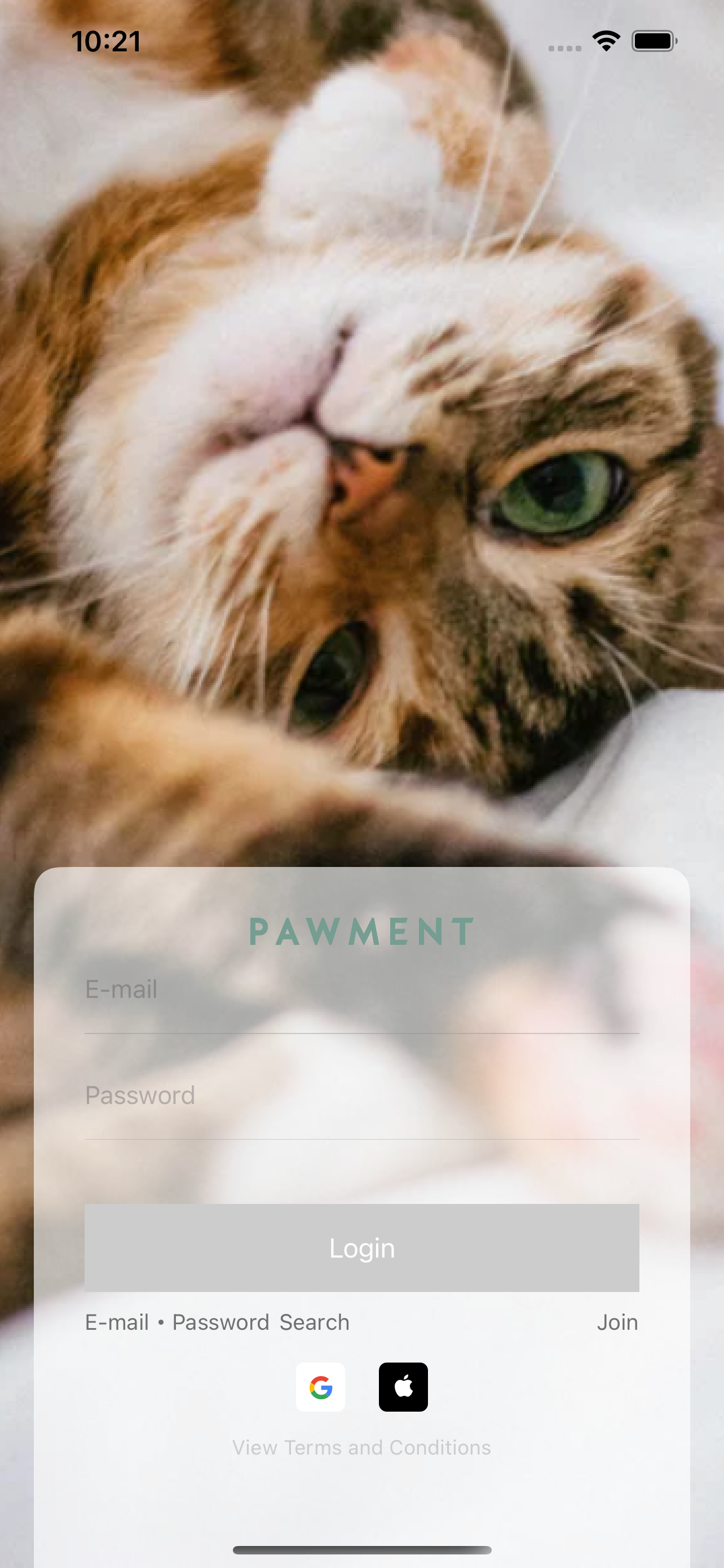 포먼트 - Pawment