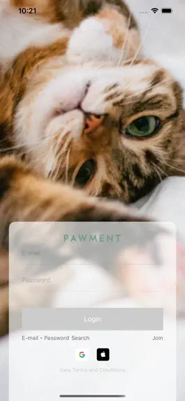 Game screenshot 포먼트 - Pawment mod apk
