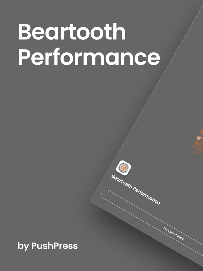 Beartooth Performance